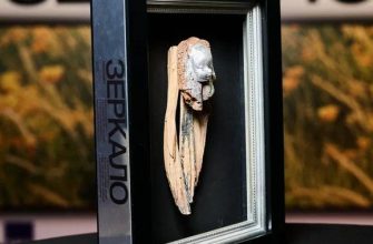 Подведены итоги XIX Международного фестиваля «Зеркало» имени Андрея Тарковского